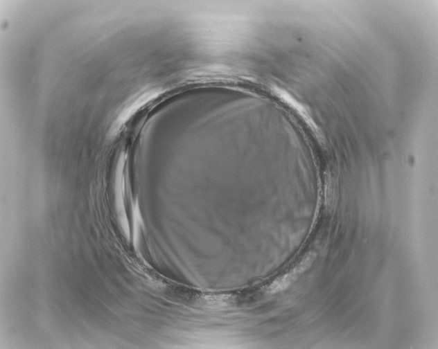 X0000087711453200705251746