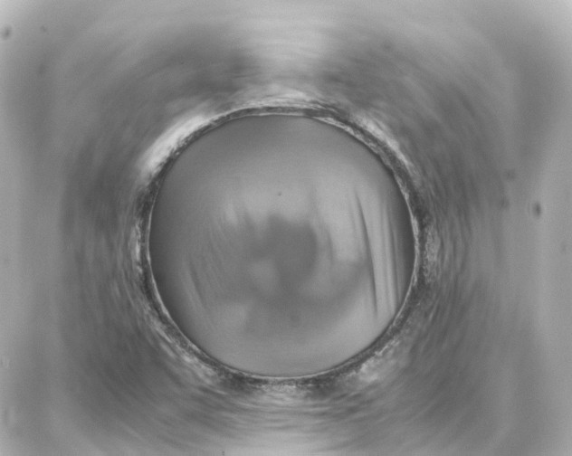 X0000087711455200705251746