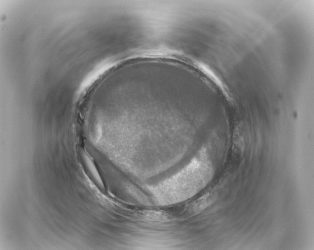 X0000087711456200705251746