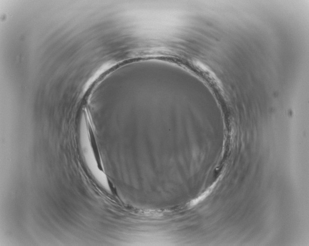 X0000087711457200705251746