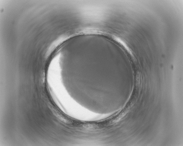X0000087711461200705251746