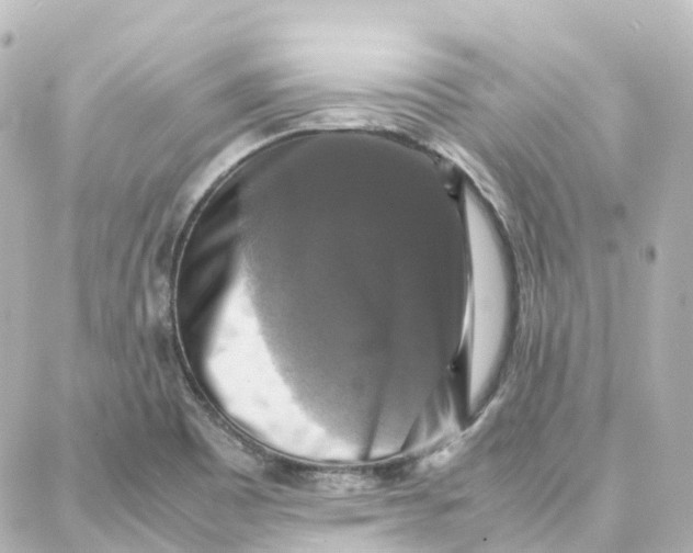 X0000087711465200705251746