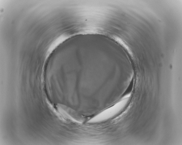 X0000087711469200705251746