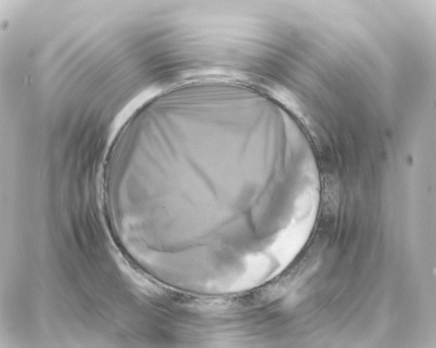 X0000087711474200705251746