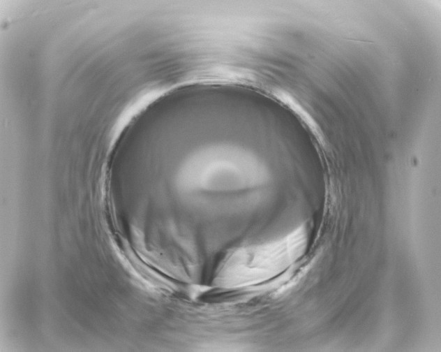 X0000087711477200705251746