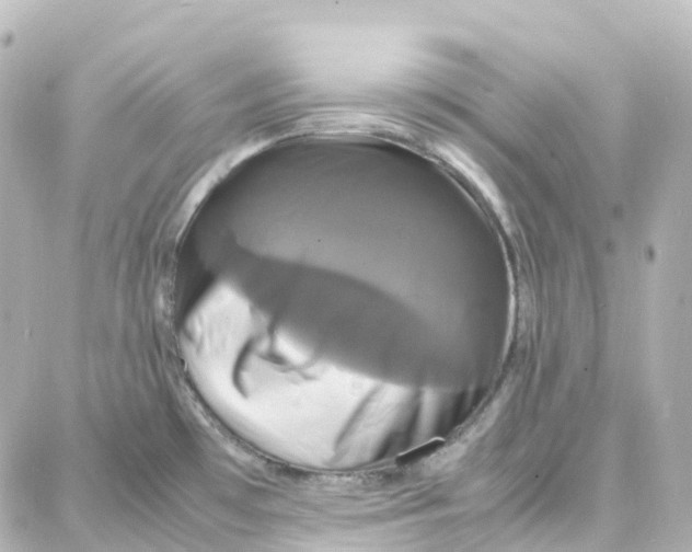 X0000087711481200705251746