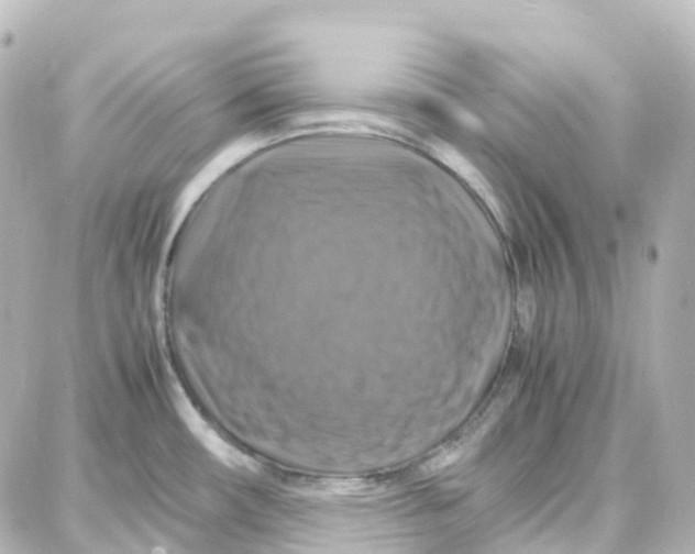 X0000087711482200705251746