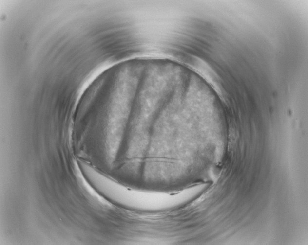 X0000087711484200705251746