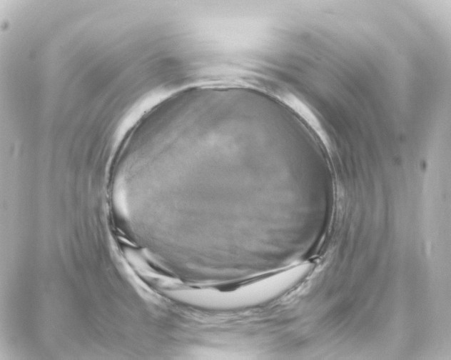X0000087711485200705251746