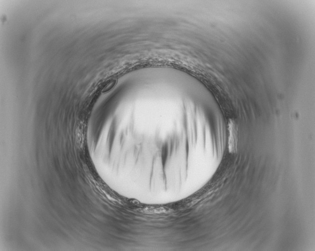 X0000087711491200705251745
