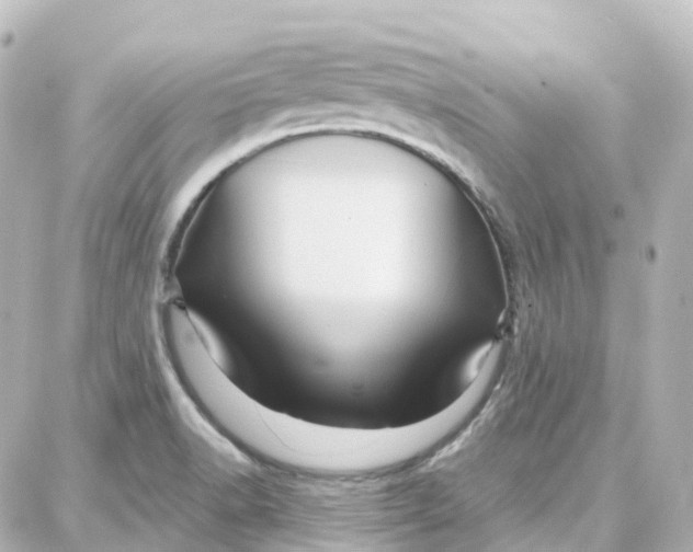 X0000087711518200705251745