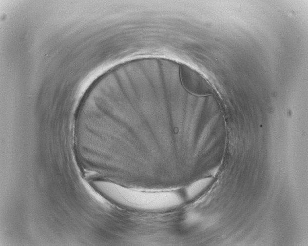X0000087711519200705251746