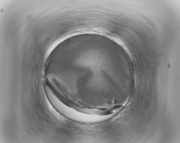 X0000087711524200705251746