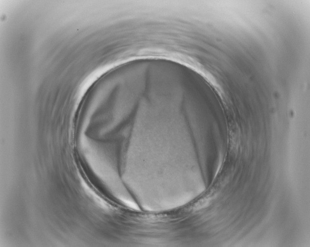 X0000087711527200705251746