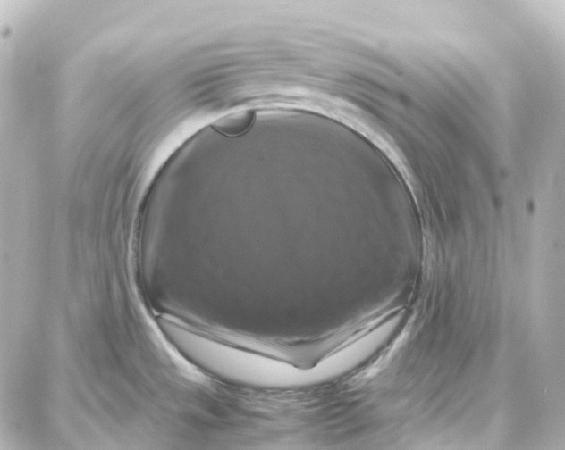 X0000087711533200705251746
