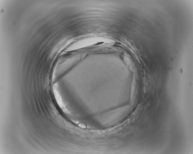 X0000087710002200706011821
