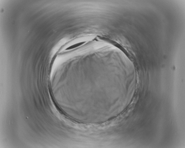 X0000087710003200706011821