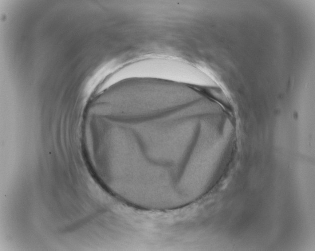 X0000087710007200706011821