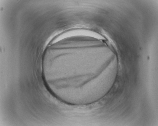 X0000087710011200706011821