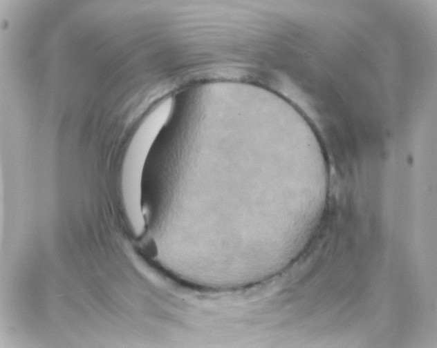 X0000087710013200706011821