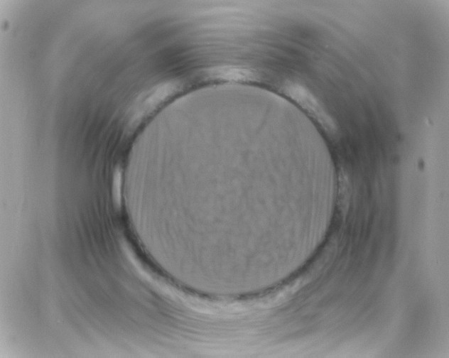 X0000087710014200706011821