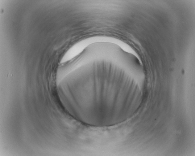 X0000087710029200706011821