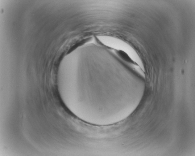 X0000087710035200706011821