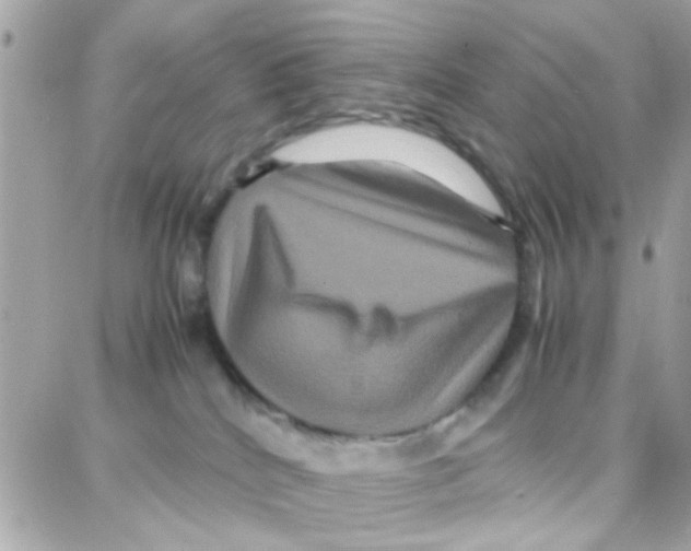 X0000087710040200706011821