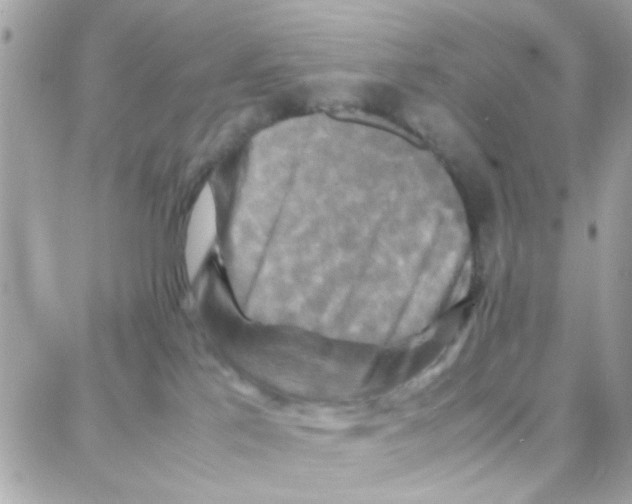 X0000087710041200706011821