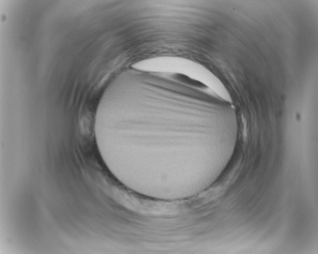 X0000087710044200706011821