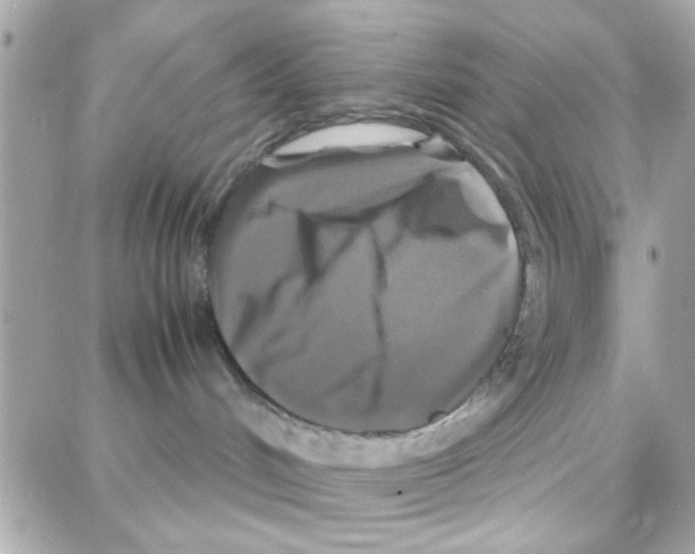 X0000087710048200706011820