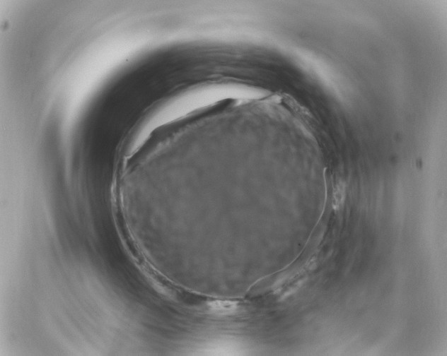 X0000087710052200706011820