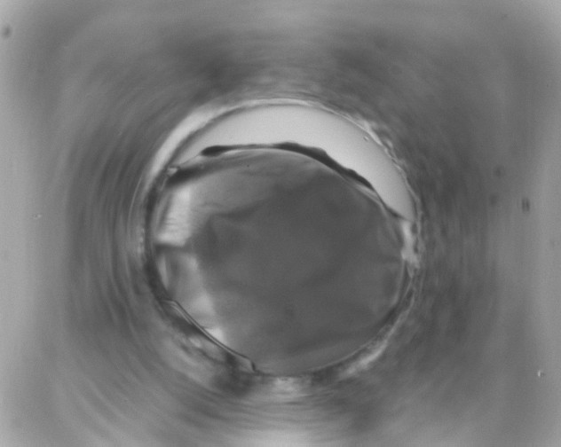 X0000087710056200706011820