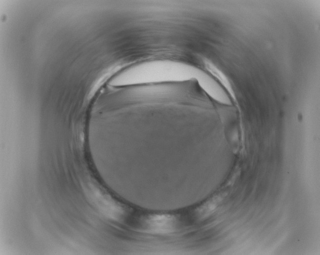 X0000087710059200706011820