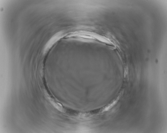 X0000087710101200706011820