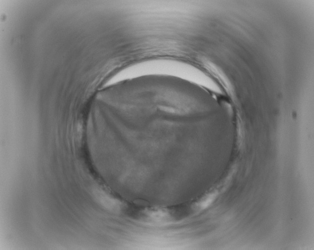 X0000087710113200706011819