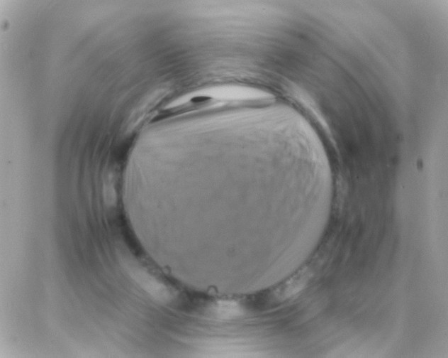 X0000087710114200706011819