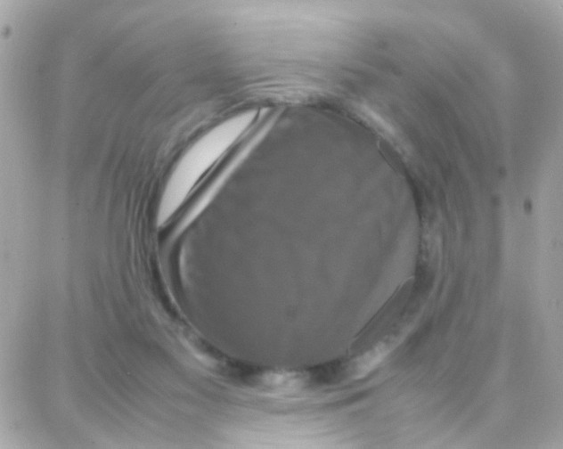 X0000087710117200706011819