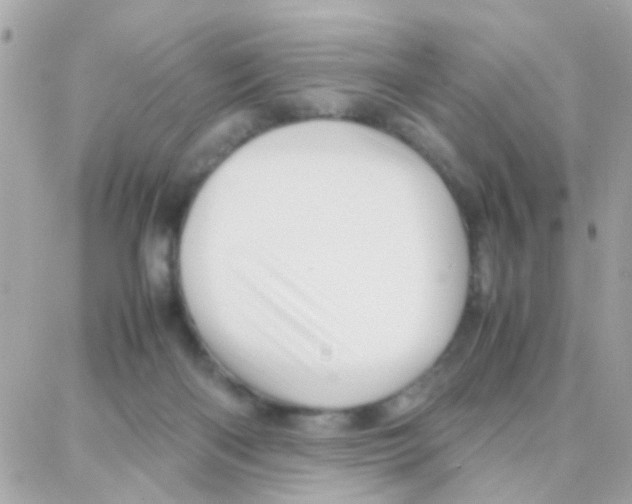 X0000087710122200706011819