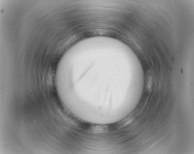 X0000087710126200706011819