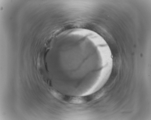 X0000087710127200706011819