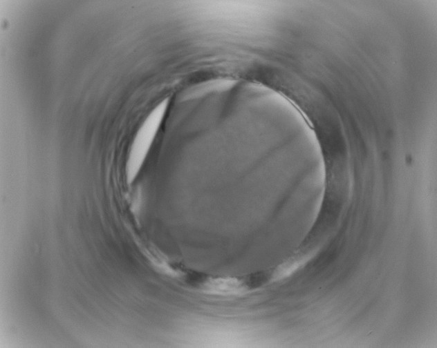 X0000087710137200706011819