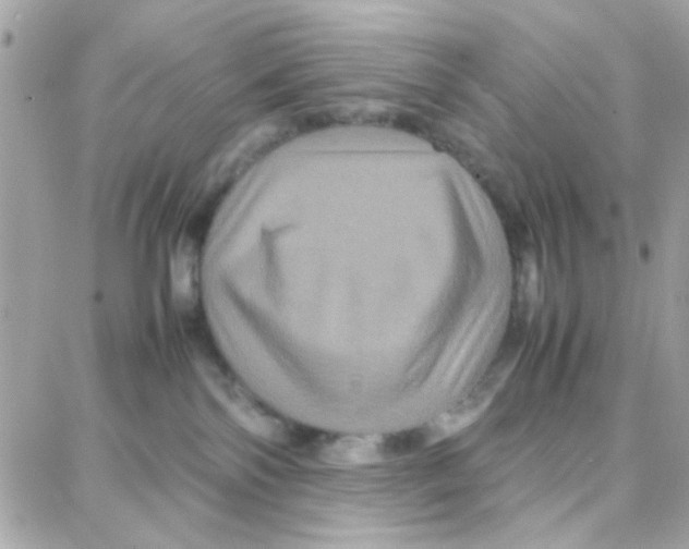 X0000087710138200706011819