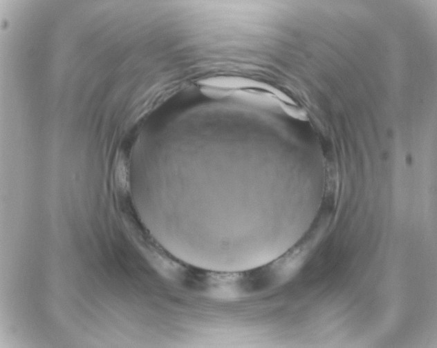 X0000087710143200706011819