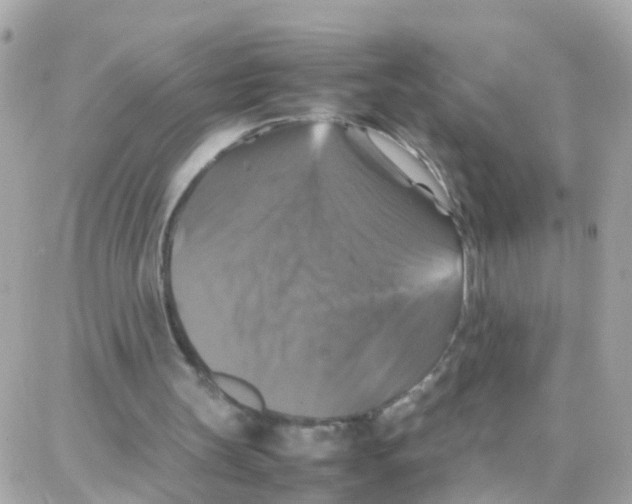 X0000087710147200706011818