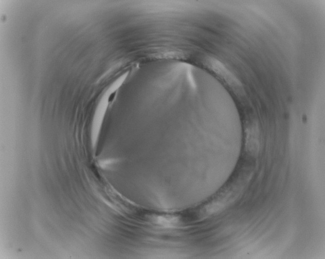 X0000087710165200706011818
