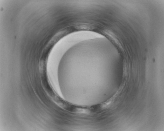 X0000087710167200706011819
