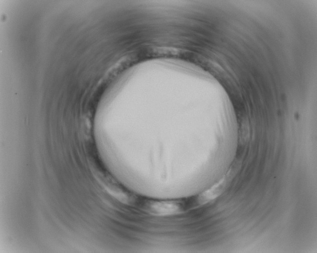 X0000087710183200706011819