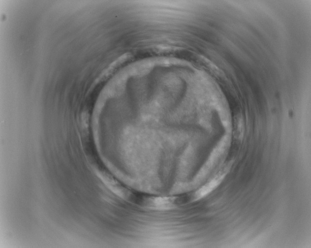 X0000087710184200706011819