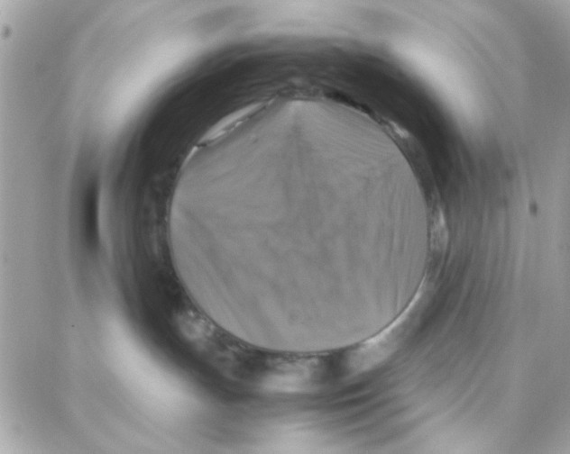 X0000087710191200706011819